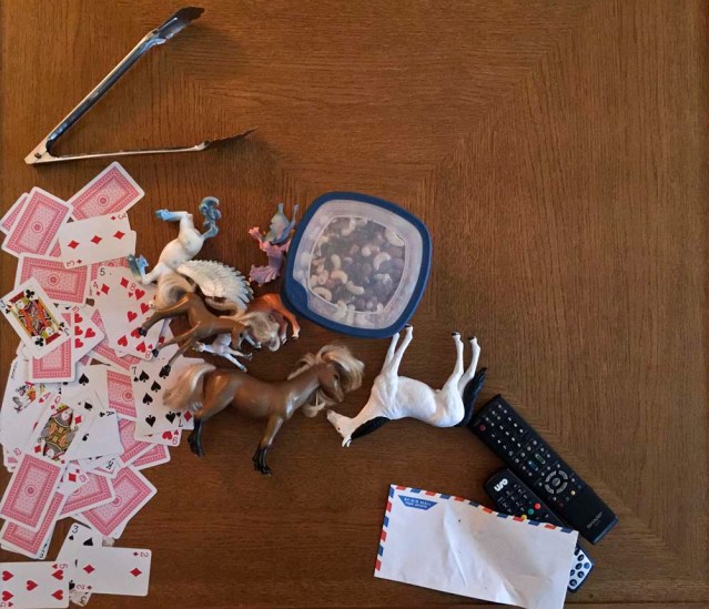 the things he plays with because the only toys i have are these horses