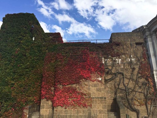 graham day (who as long as i'm staying at anna's is my neighbor) and i take the bus to westminster