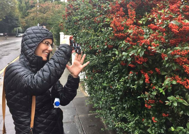 mai captures berries on sydney street