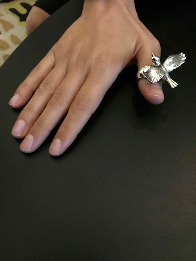 rayya morcos and her bird