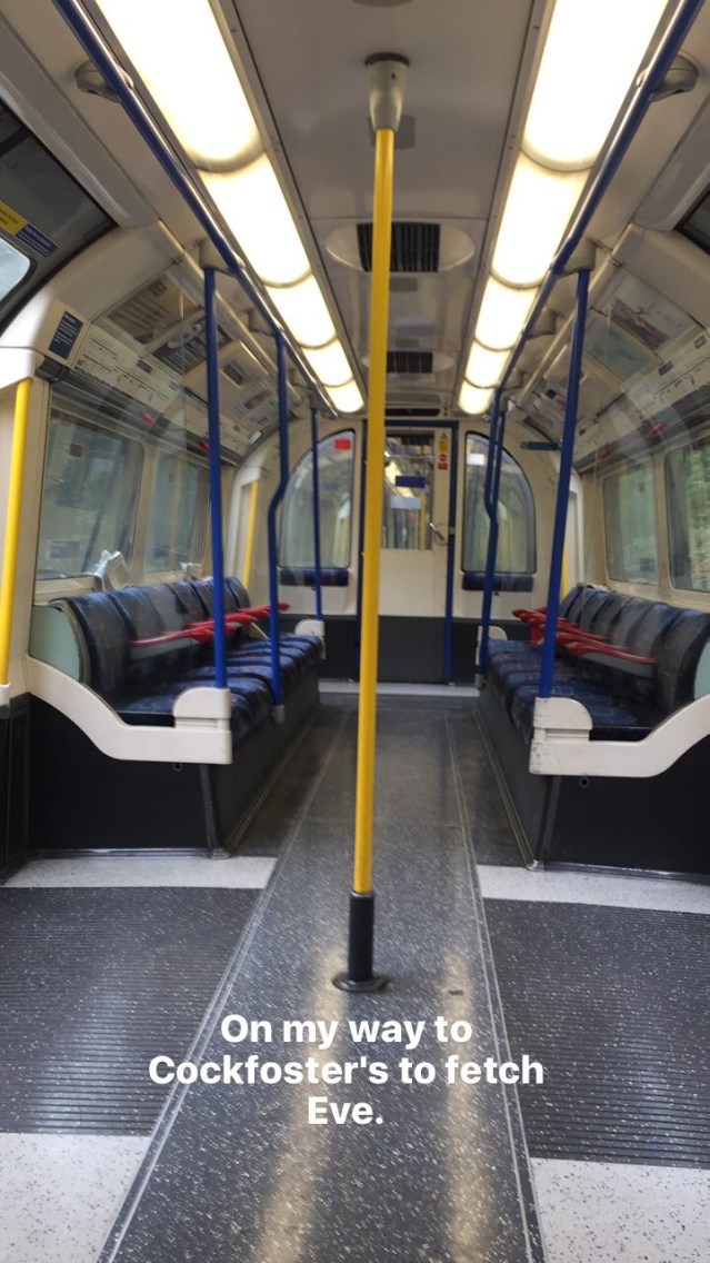 photo-sep-05-9-50-43-pm